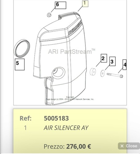 Evinrude etec silenziatore - ,
