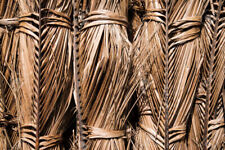 50 Foglie Ingrandiscono Foglie di Cocco Palma Essiccate 100% Naturale Bio Ceylon