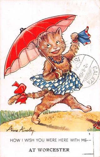 Postcard worcester cat - worcester, theme