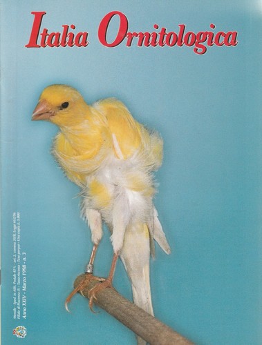 Italia ornitologica anno - ornitologica, (anno