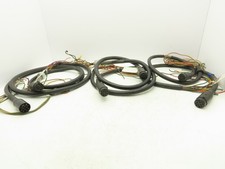 Carol Royal Power Cable 5-10'