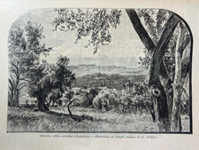 Illustrazione originale