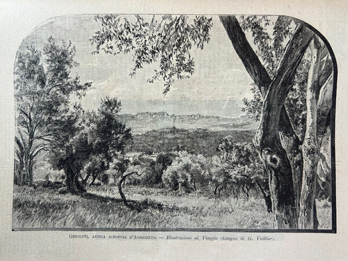 Illustrazione originale