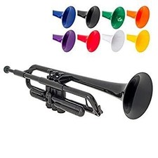 [Usato - Ottimo] PInstruments