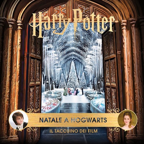 Libri harry potter natale - libri,
