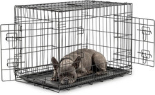 Gabbia Di Transporto