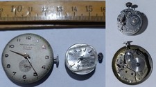 Lotto orologi polso  rubis