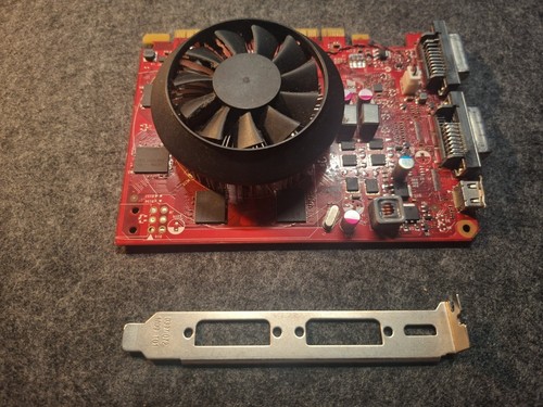 Scheda grafica dell - grafica, nvidia
