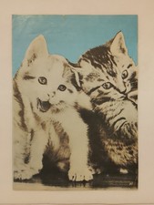 Locandina Politica Votazioni