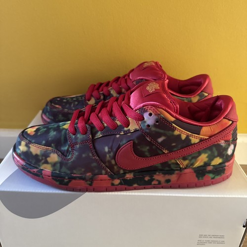 Nike dunk low - pro, woo