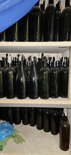 Bottiglie vino vuote per