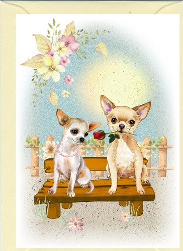 Biglietto vuoto cane chihuahua - cane,