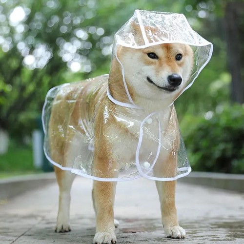 Impermeabile trasparente cane