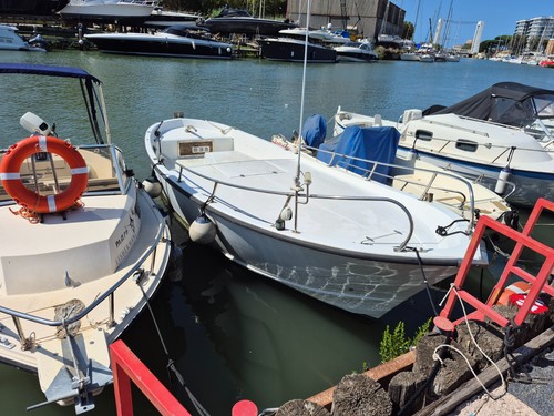 Gozzo squalo semiplanante - squalo,
