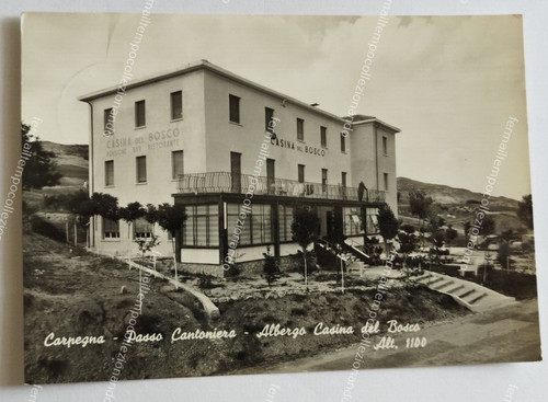 Cz651 cartolina carpegna passo - cartolina,