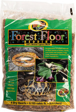 Zoomed Forest Floor -