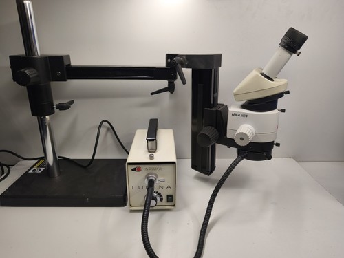 Stéréo microscope leica - microscope,