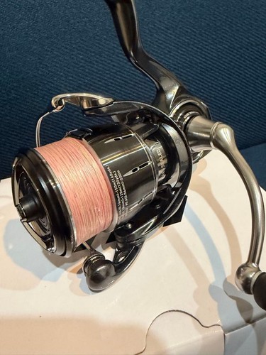 Mulinello spinning daiwa - spinning, 24