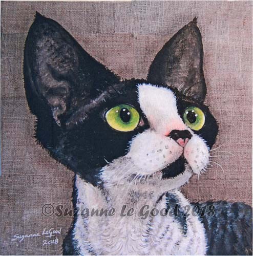 Devon rex cat art print - cat,