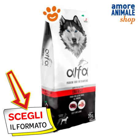 Dagel alpha dog - alpha, cibo
