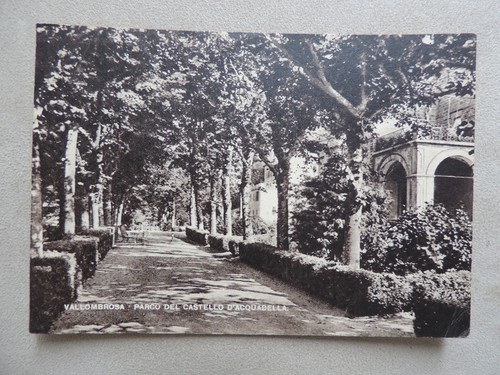Cartolina vallombrosa parco - vallombrosa,