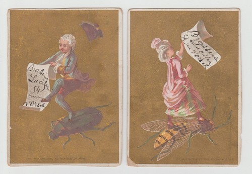 Bambini con insetti vecchie - bambini, 2