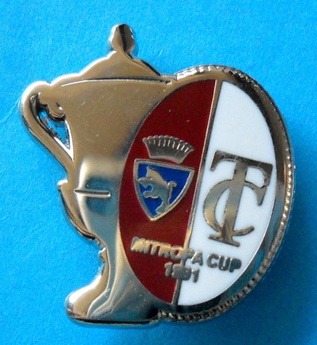 Distintivo spilla pin badge - spilla,