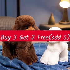 Barboncino Gigante Peluche