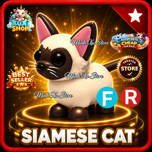 Gatto siamese fly - siamese, (fly