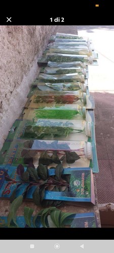 Stock piante finte - 17,