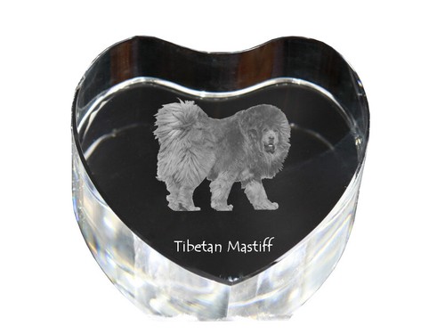 Cane khyi tibetano - khyi,,