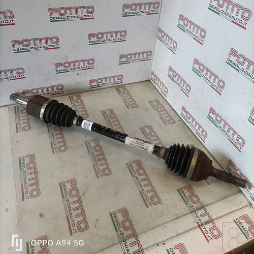 9801384780 semialbero ant - 9801384780,