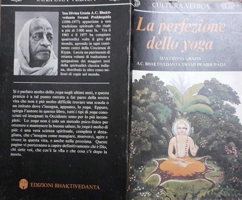 Perfezione dello yoga - perfezione,