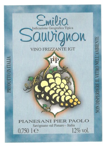 Savignano sul panaro - savignano,