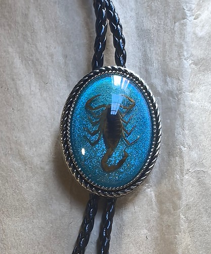 Cravatta bolo blu - bolo, vera