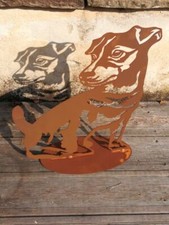 Edelrost cane Jack Russel