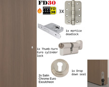 Porta antincendio interna FD30