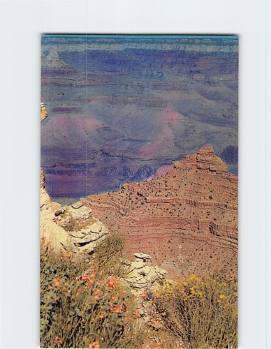 Cartolina grand canyon parco - grand,