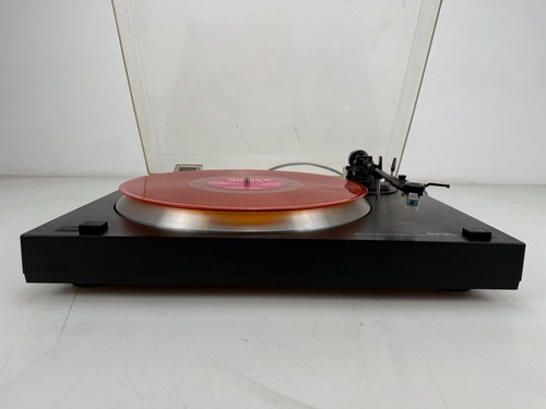 Rotel 310 giradischi - -,