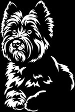 Adesivo cairn terrier - adesivo,