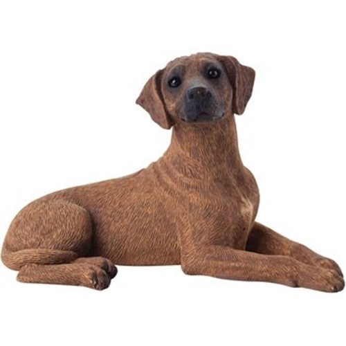 Statuina rhodesian ridgeback - rhodesian,