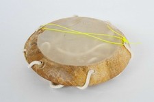 Strumenti musicali a batteria