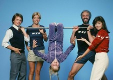 381744 Family Ties Fox Gross