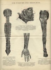 1895 Stampa Antica = APPARATO