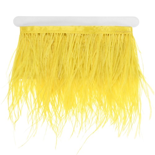 Piume struzzo frangia per - di,