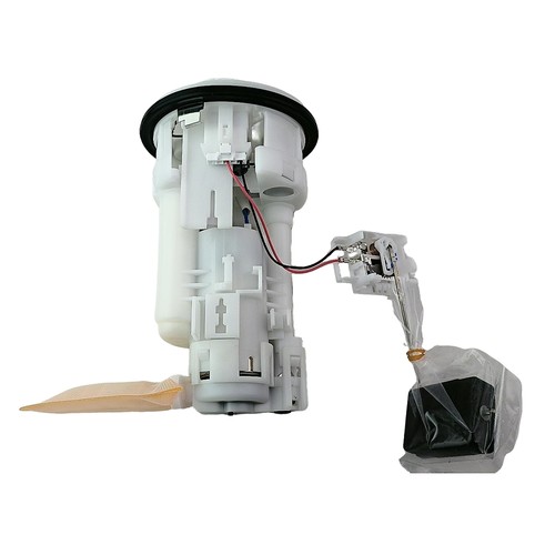 Gruppo modulo pompa carburante