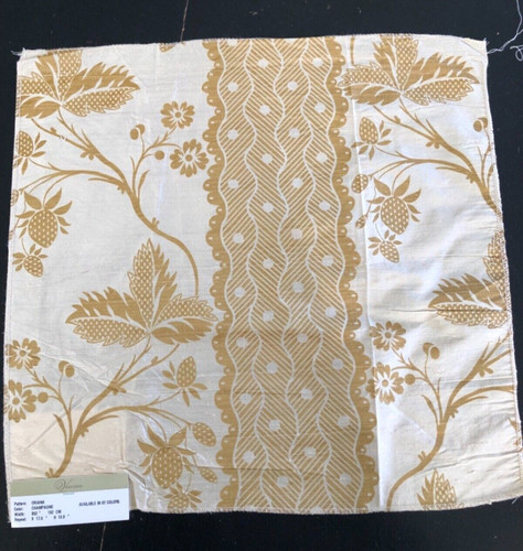 Vervain oriana champagne - in, 17
