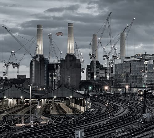 Pink floyd animals - pink, 'animals