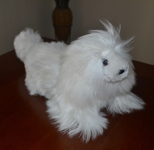 Nuovissimo cane cucciolo