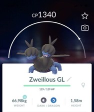 Due Pokemon Gen5 GO Pokémon